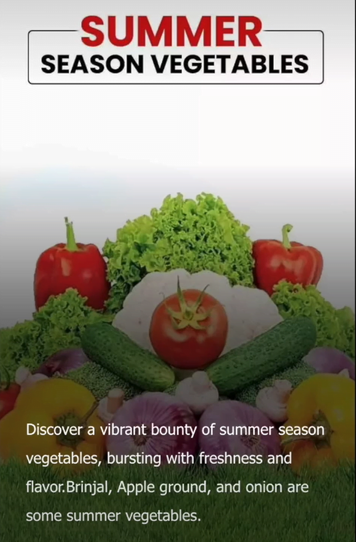 SUMMER Season Vegetables