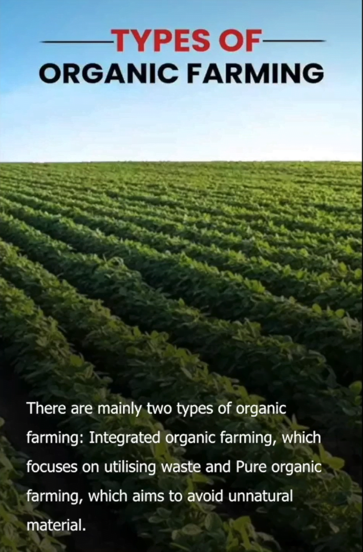 TYPES OF ORGANIC FARMING